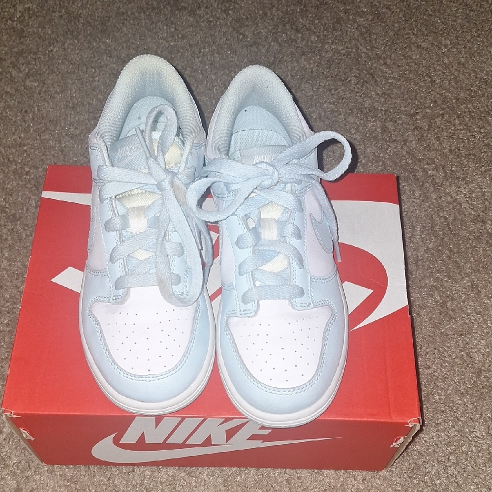 Nike Blue and White Low-Top Sneakers
